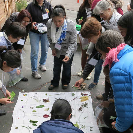 teachers huddle around leaves they collected outside
