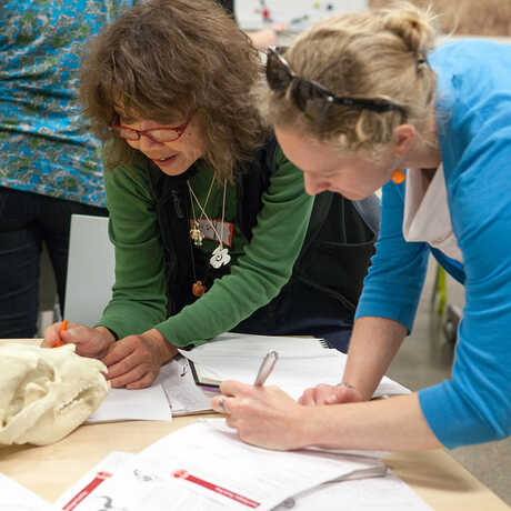 Teachers at the Skulls Classroom Kit Workshop