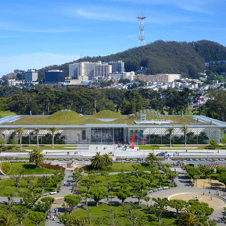 Aerial view of Academy