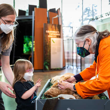 Docent showing sea star to young visitor