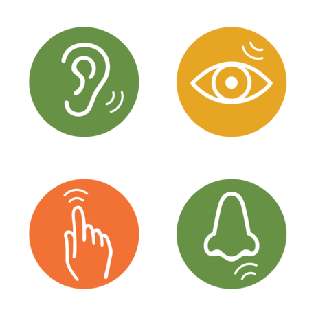 Colorful icons categorize areas of the Academy by sensory strength