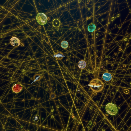 Food web from Habitat Earth